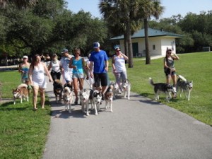 kindling conversations